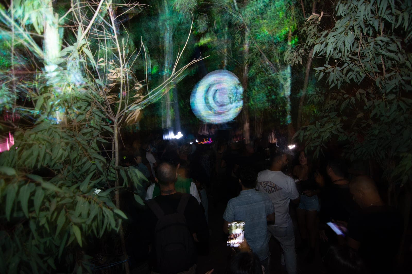 Luxori Woodland Archive